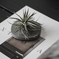 Loop 環石硅藻杯墊組